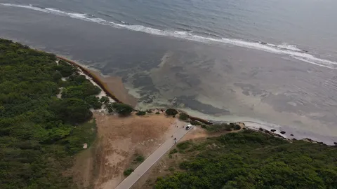 Sargazo — PLAYA SALADILLA (Sur)